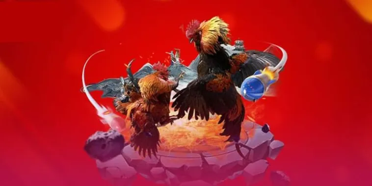 Khám Phá Đấu Trường Đá Gà VVVWin Sôi Động Nhận Thưởng 188%